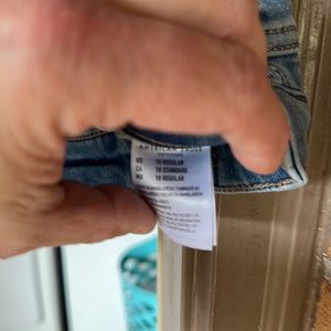 American Eagle size 18 Regular